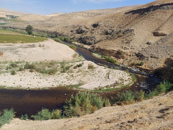 Os instrumentos do nosso passado: o Brasil na Jordânia